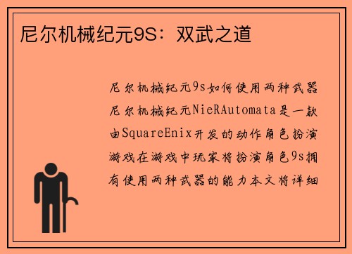 尼尔机械纪元9S：双武之道