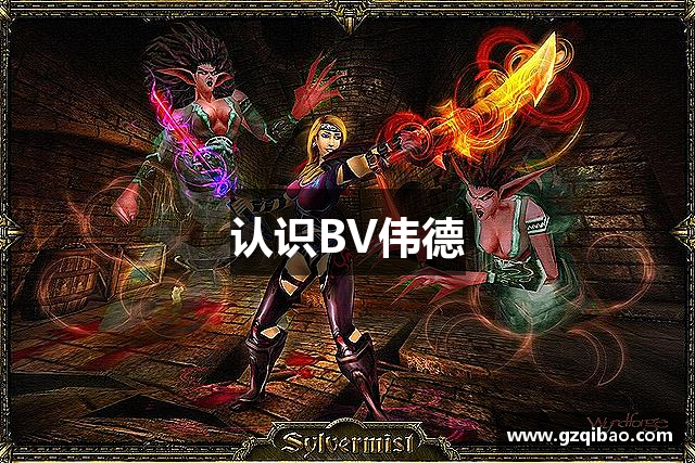 认识BV伟德